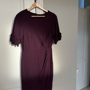 Elegant Plum Dress